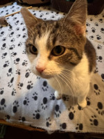 /album/89/whatsapp-image-2026-04-28-at-18-50-19-8-jpeg/